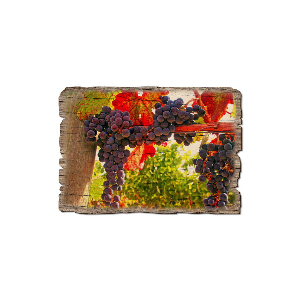 Old Vines - Weathered Edge Magnet Weathered Edge Magnet (5pk // $2.80ea)