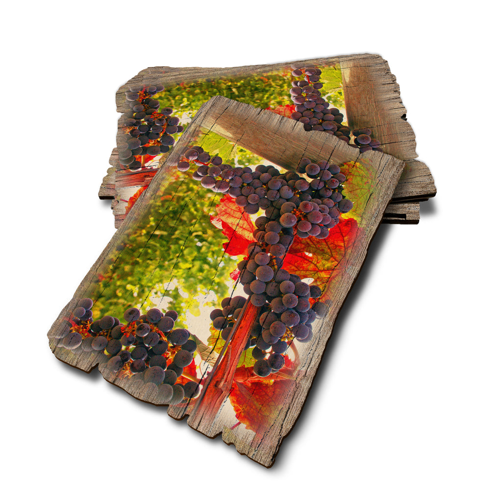 Old Vines - Weathered Edge Weathered Edge Postcard (5pk // $2.80ea)