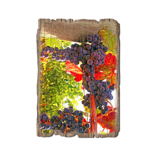 Greeting Card: Weathered Edge - Old Vines
