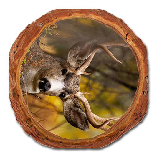 Coaster: Live Edge - Perfect Look (Pack of 5)