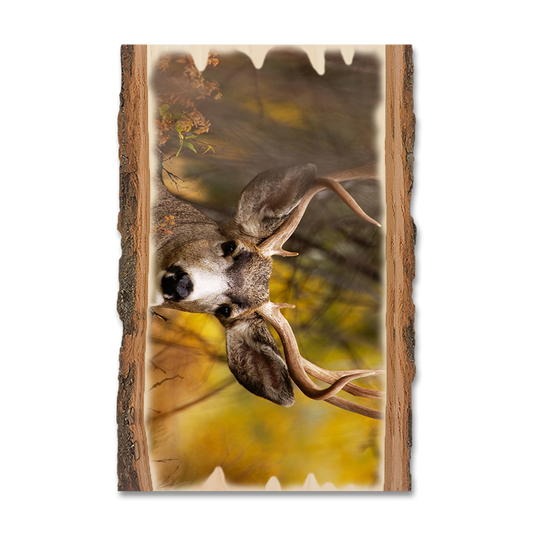 Magnet: Live Edge - Perfect Look