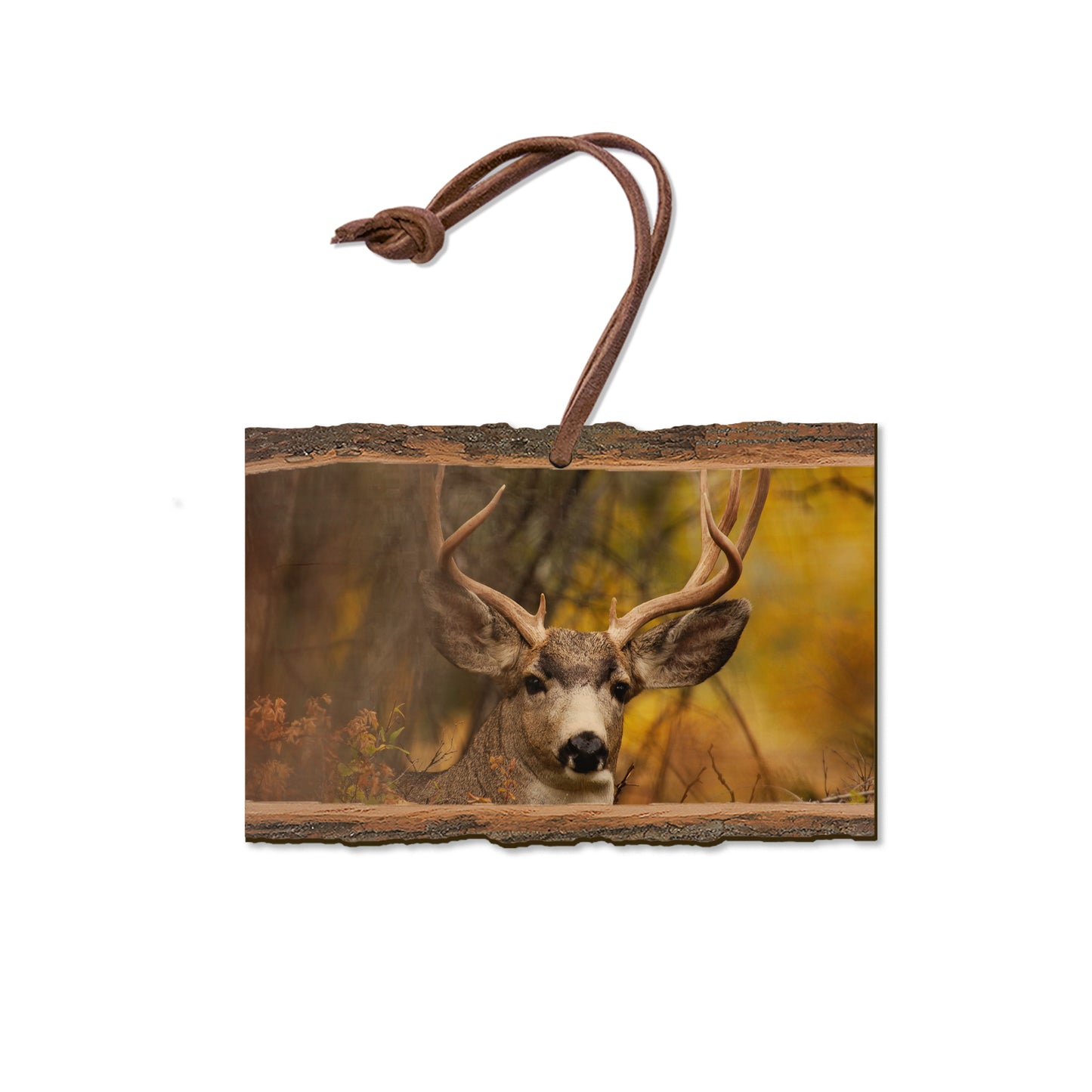 Perfect Look - Live Edge Magnet Live Edge Ornament (5pk // $2.80ea)