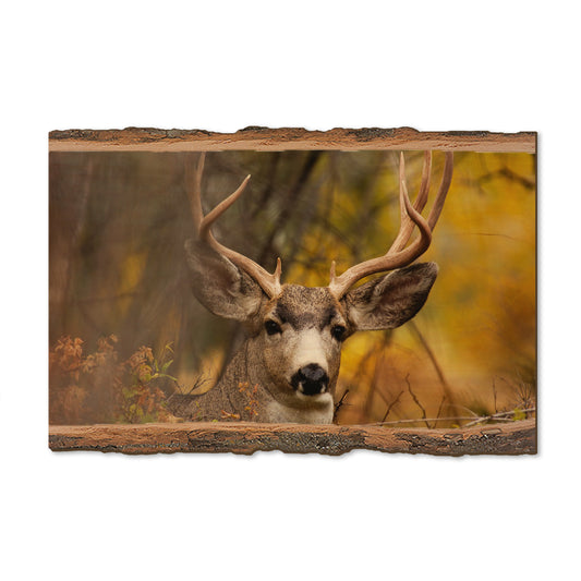 Perfect Look - Live Edge Magnet Live Edge Postcard (5pk // $2.80ea)