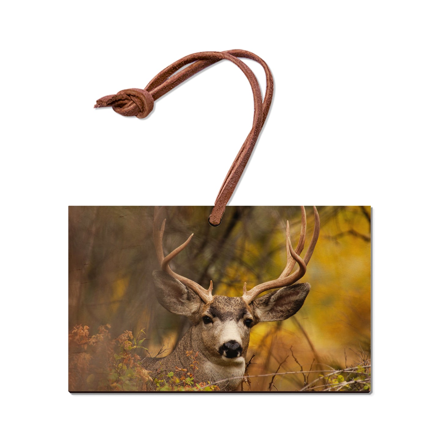 Perfect Look - Magnet Classic Edge Ornament (5pk // $2.80ea)