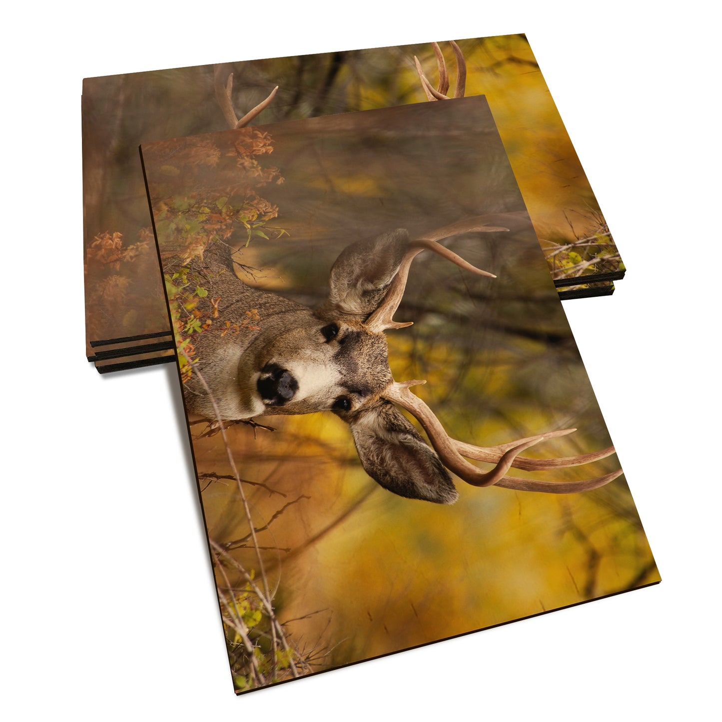 Perfect Look - Classic Edge Classic Edge Postcard (5pk // $2.80ea)