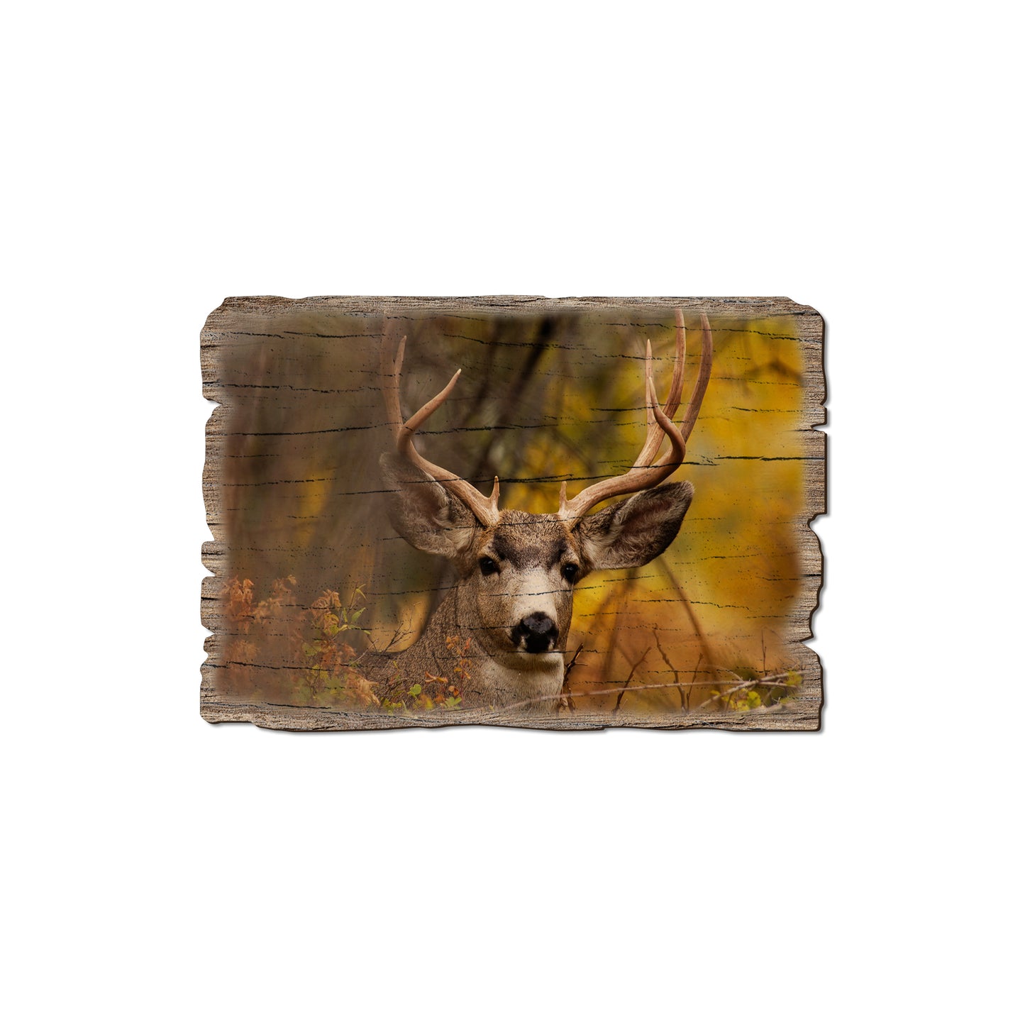 Perfect Look - Weathered Edge Magnet Weathered Edge Magnet (5pk // $2.80ea)