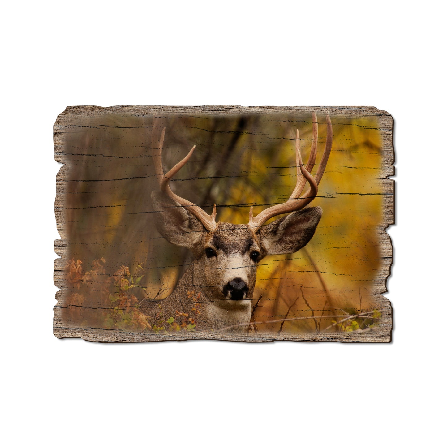 Perfect Look - Weathered Edge Magnet Weathered Edge Postcard (5pk // $2.80ea)