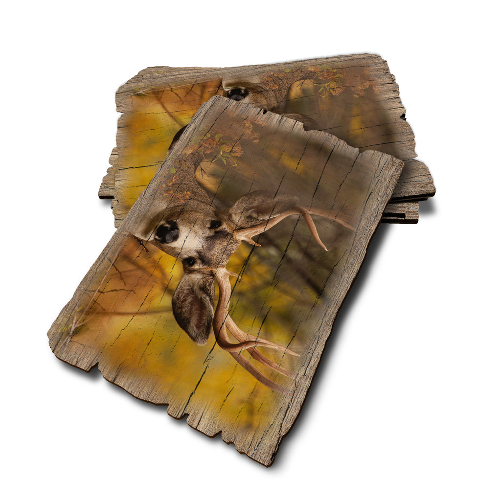 Perfect Look - Weathered Edge Weathered Edge Postcard (5pk // $2.80ea)