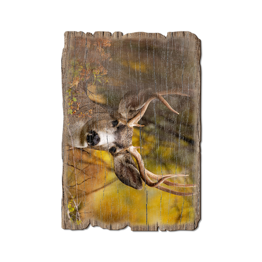 Greeting Card: Weathered Edge - Perfect Look (Pack of 5)