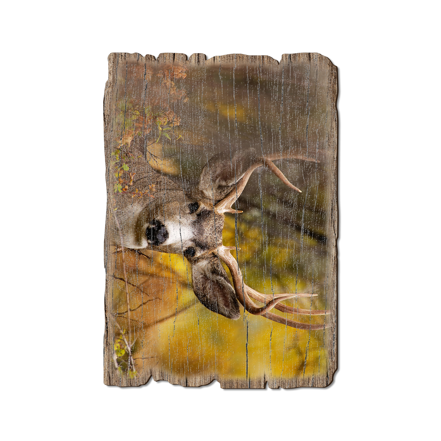Postcard: Weathered Edge - Perfect Look (Pack of 5)
