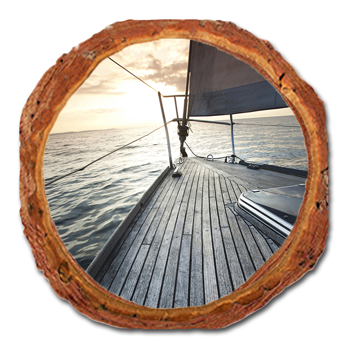 Coaster: Live Edge - Portside