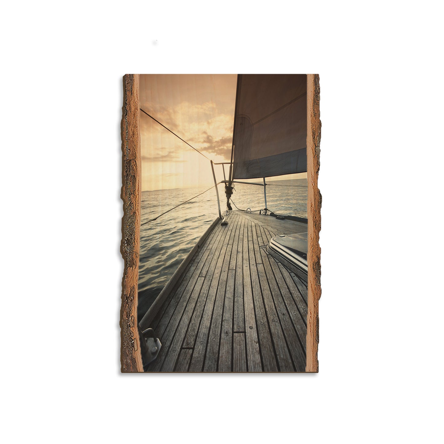Portside - Live Edge Magnet Live Edge Magnet (5pk // $2.80ea)
