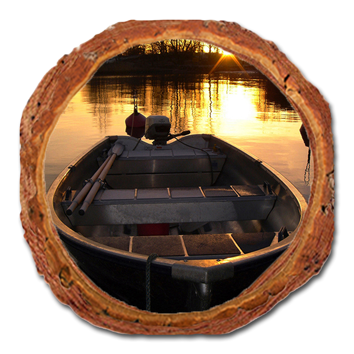 Coaster: Live Edge - Prime Time (Pack of 5)