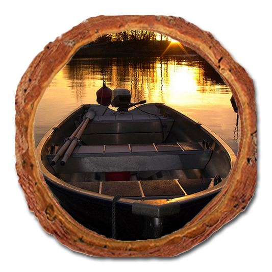 Coaster: Live Edge - Prime Time (Pack of 5)