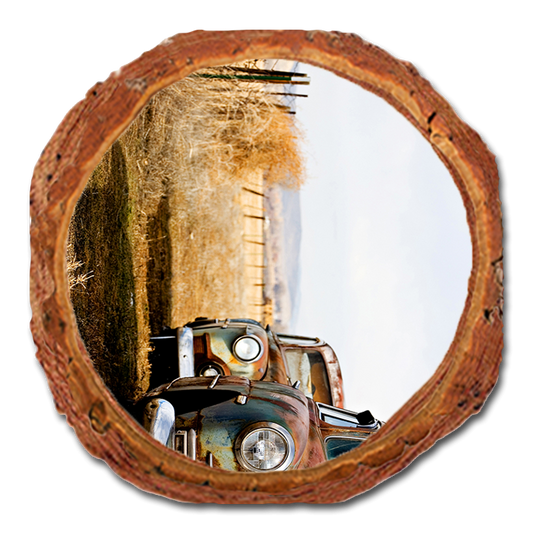 Coaster: Live Edge - Rest Stop (Pack of 5)
