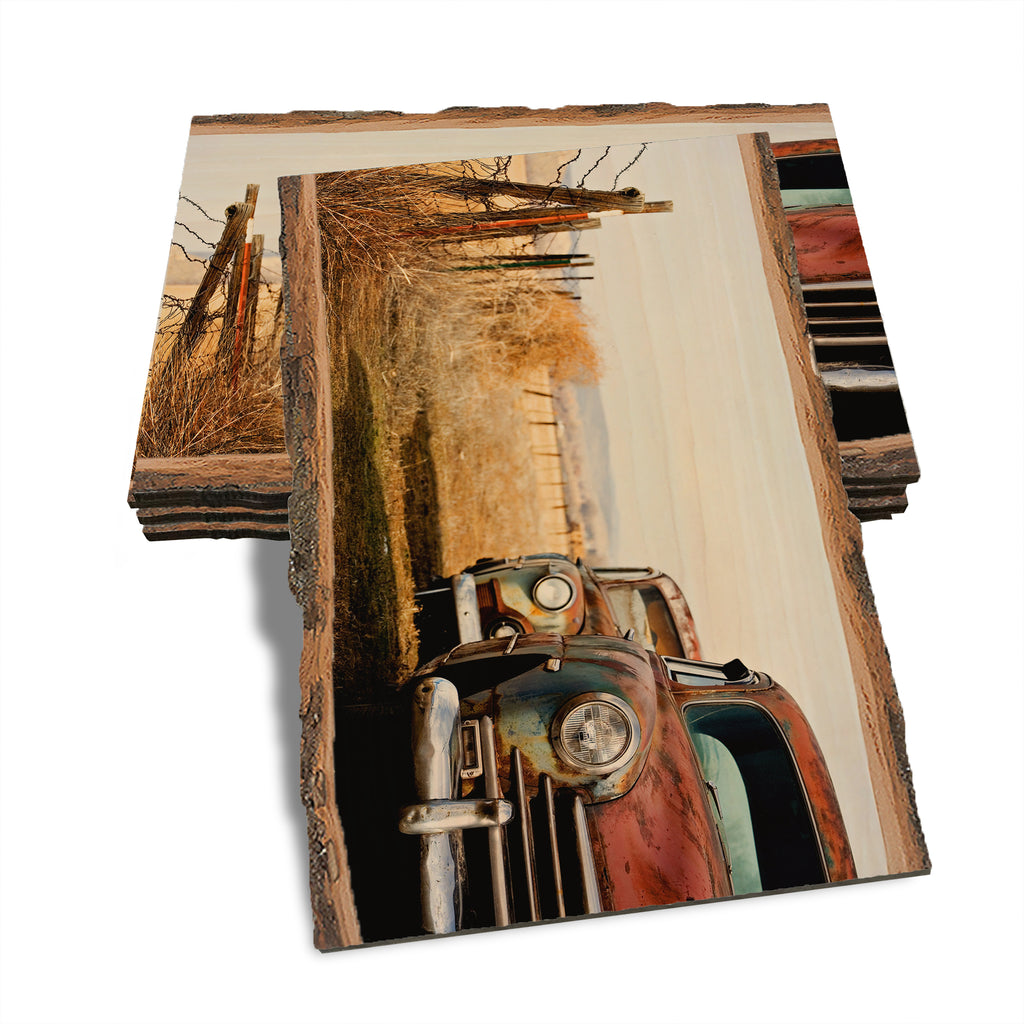 Rest Stop - Live Edge Live Edge Postcard (5pk // $2.80ea)