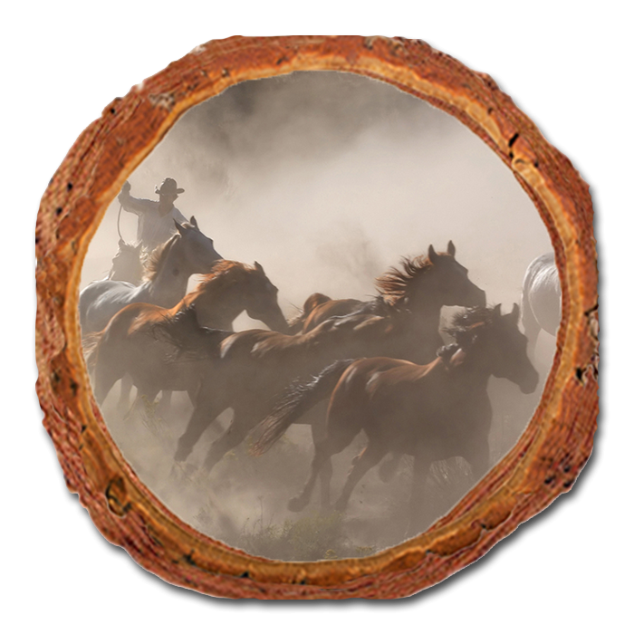 Coaster: Live Edge - Raw Hide (Pack of 5)