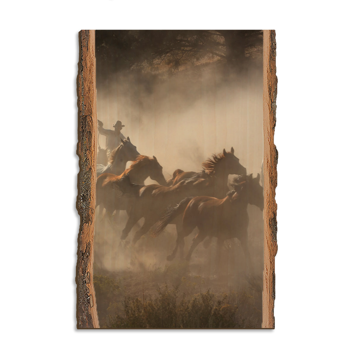 Raw Hide - Live Edge Magnet Live Edge Postcard (5pk // $2.80ea)