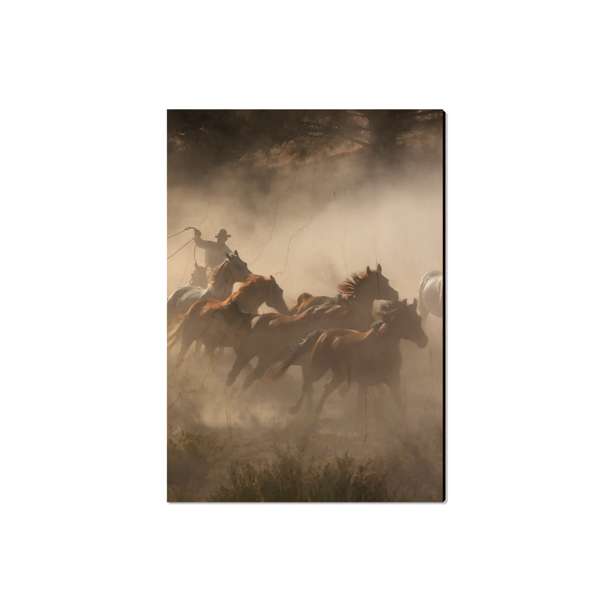 Raw Hide - Magnet Classic Edge Magnet (5pk // $2.80ea)