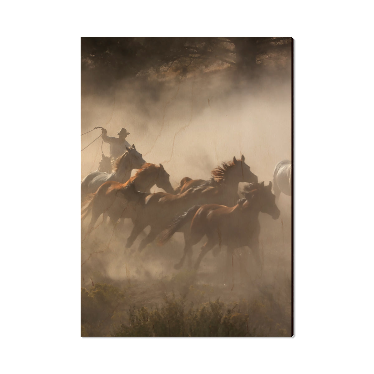 Raw Hide - Magnet Classic Edge Postcard (5pk // $2.80ea)