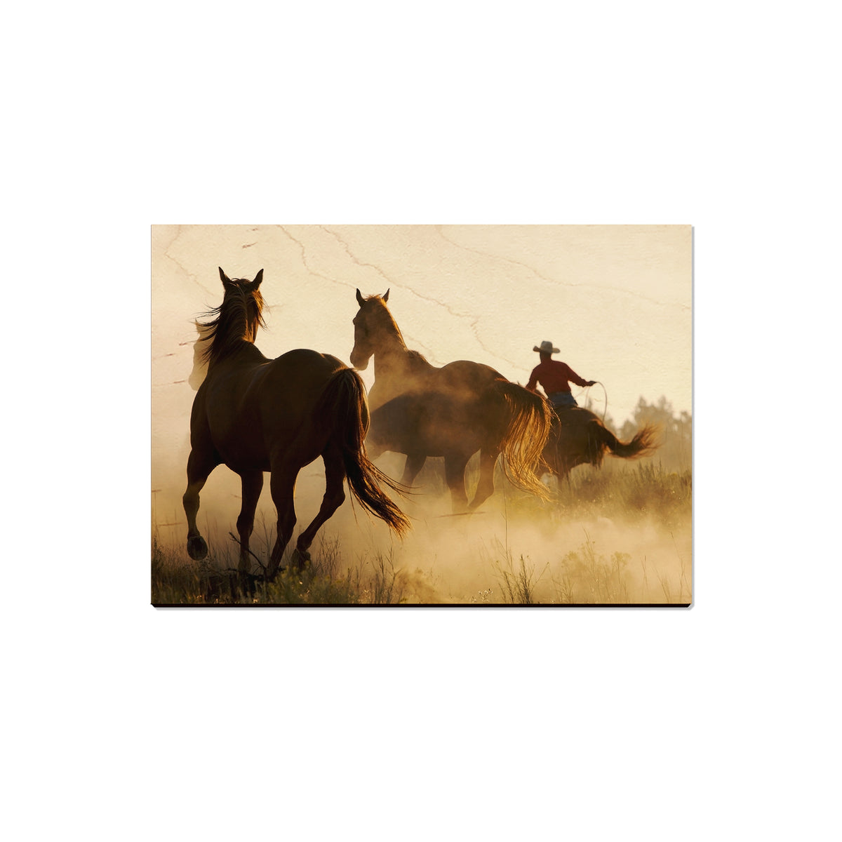 Round Up - Magnet Classic Edge Magnet (5pk // $2.80ea)
