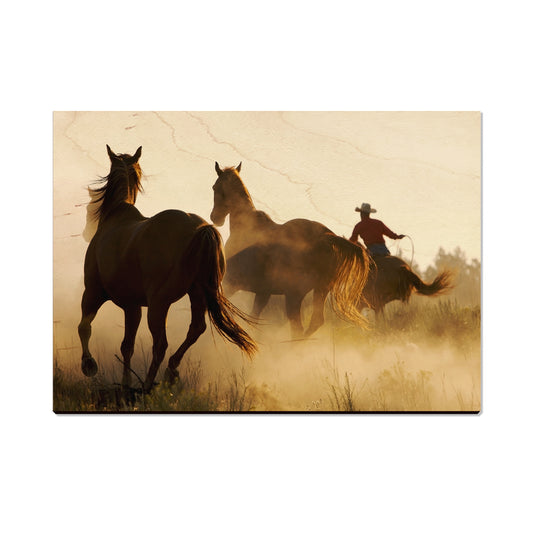 Round Up - Magnet Classic Edge Postcard (5pk // $2.80ea)