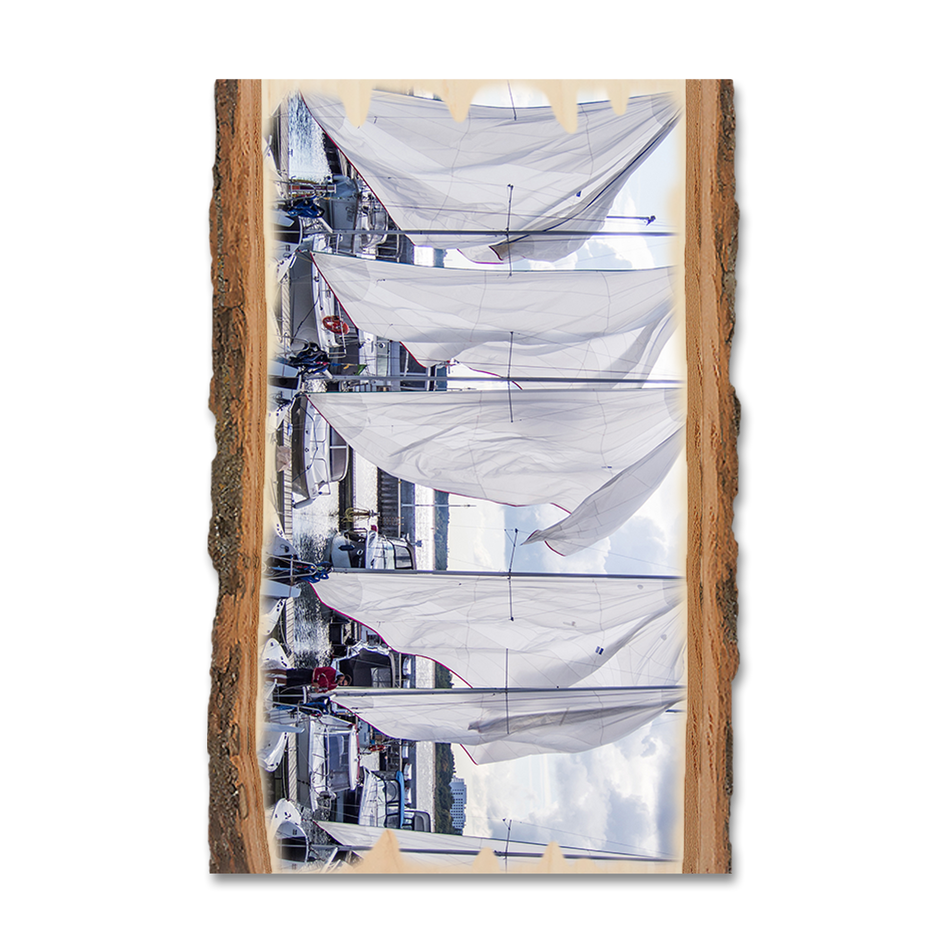 Greeting Card: Live Edge - Sailing Breeze