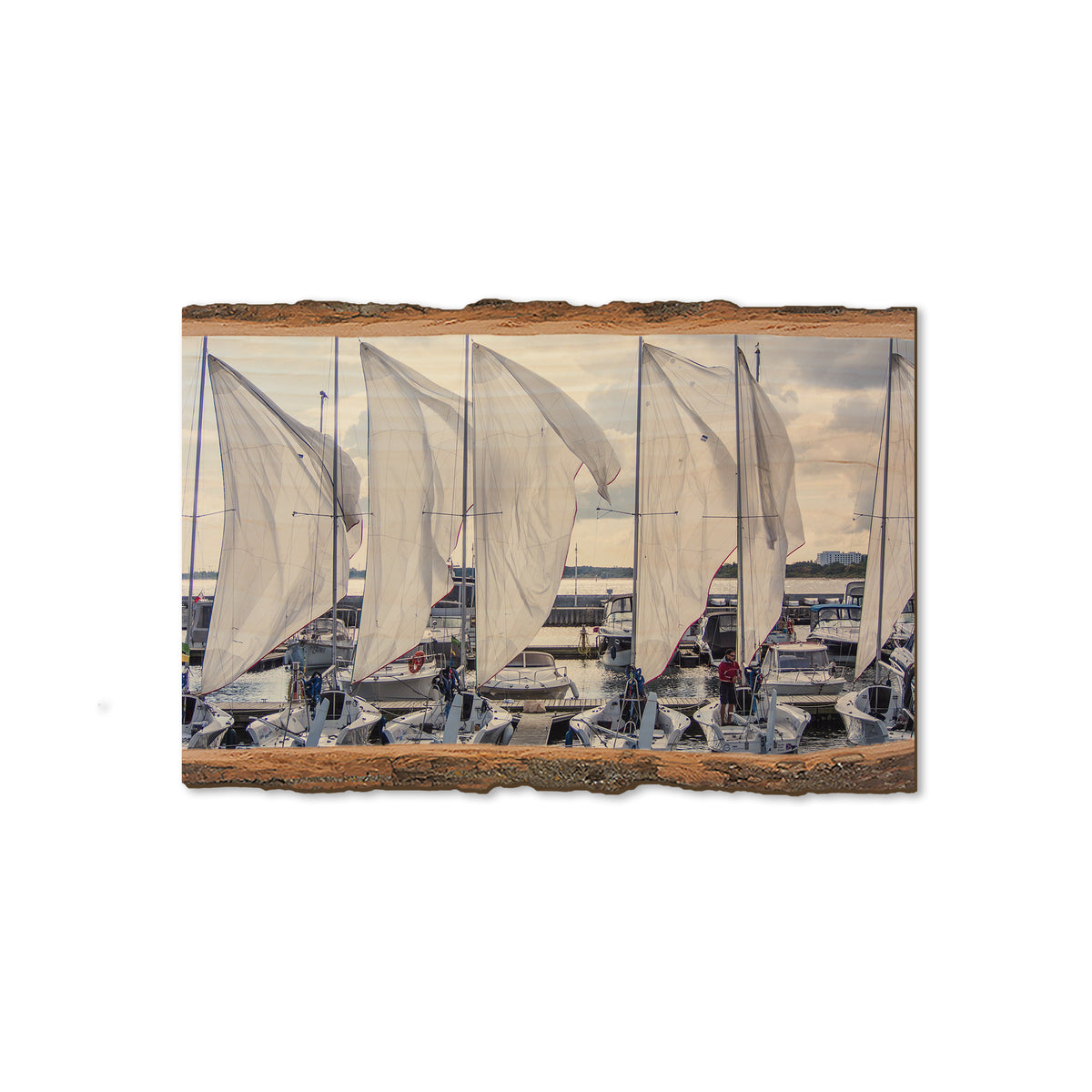 Sailing Breeze - Live Edge Magnet Live Edge Magnet (5pk // $2.80ea)