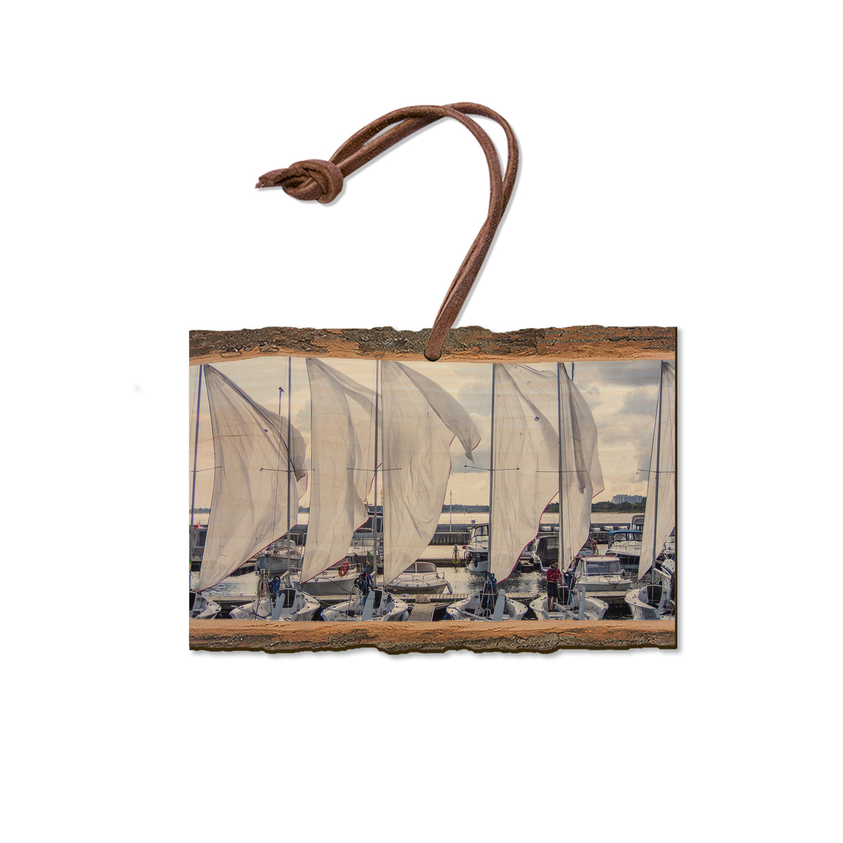 Sailing Breeze - Live Edge Magnet Live Edge Ornament (5pk // $2.80ea)