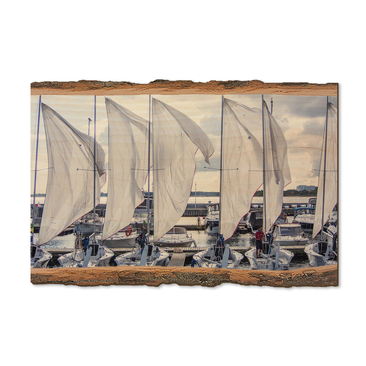 Sailing Breeze - Live Edge Magnet Live Edge Postcard (5pk // $2.80ea)