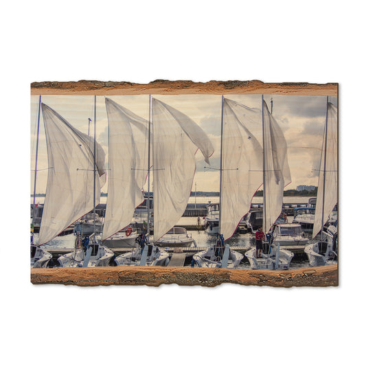 Sailing Breeze - Live Edge Magnet Live Edge Postcard (5pk // $2.80ea)