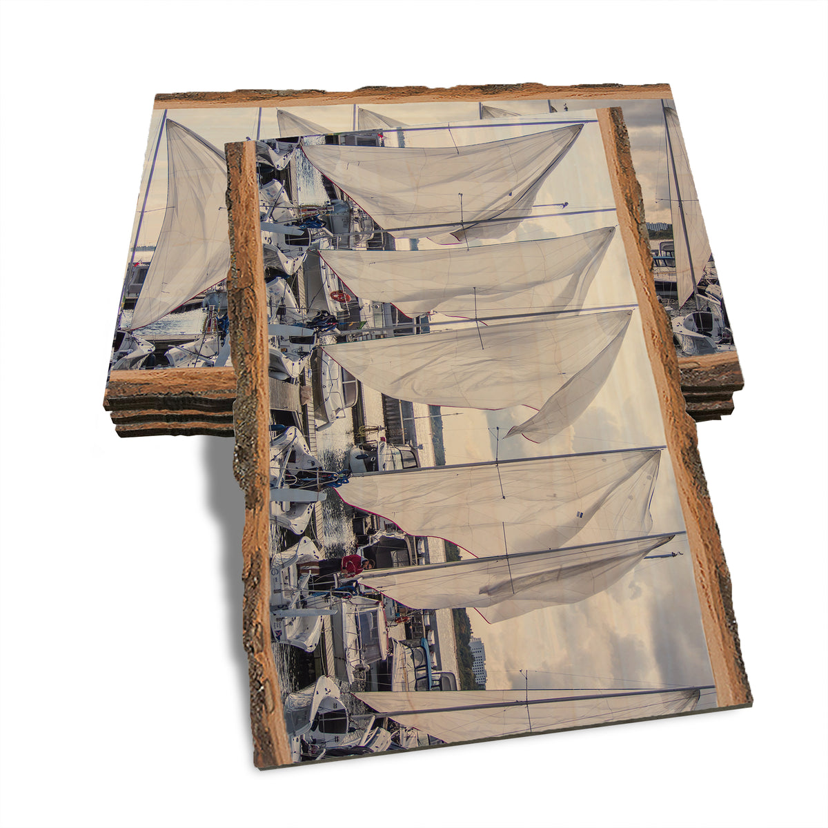 Sailing Breeze - Live Edge Live Edge Postcard (5pk // $2.80ea)