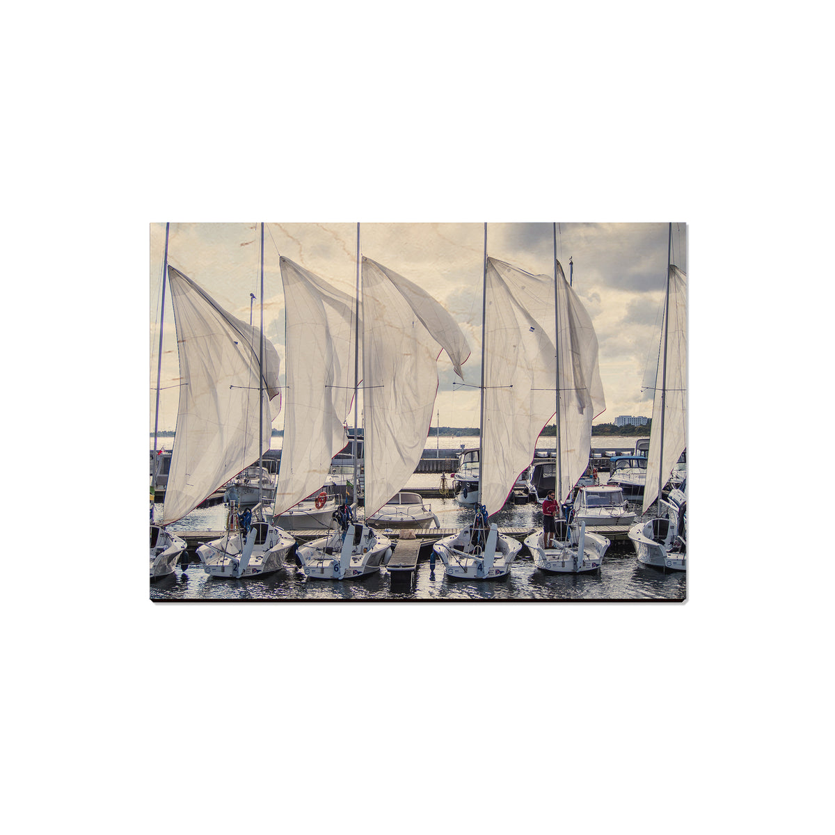 Sailing Breeze - Magnet Classic Edge Magnet (5pk // $2.80ea)