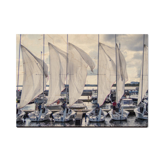 Sailing Breeze - Magnet Classic Edge Postcard (5pk // $2.80ea)