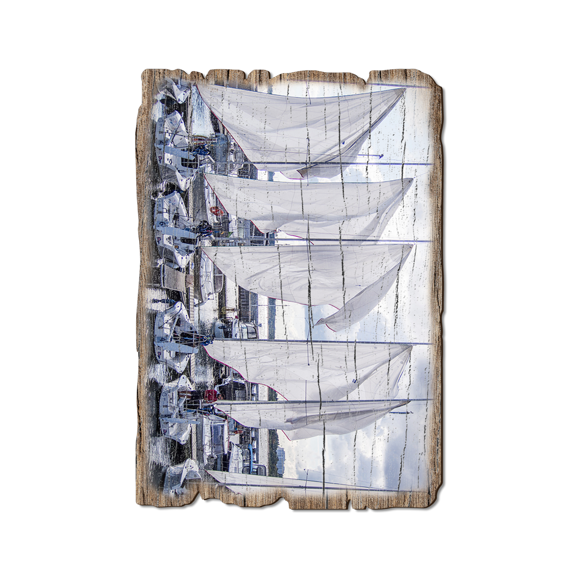 Ornament: Weathered Edge - Sailing Breeze (Pack of 5)