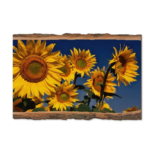 Sunny Bunch - Live Edge Magnet Live Edge Postcard (5pk // $2.80ea)