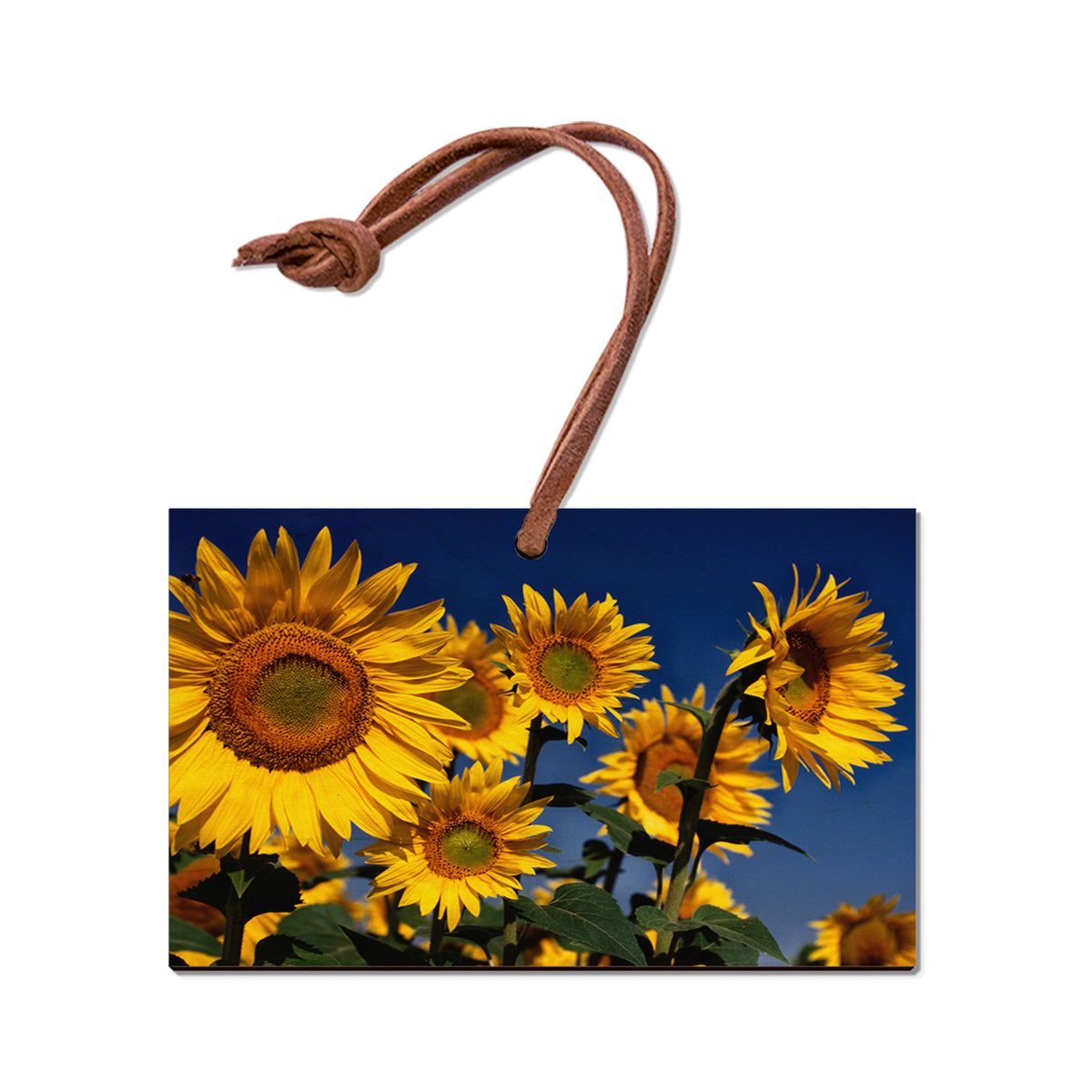 Sunny Bunch - Magnet Classic Edge Ornament (5pk // $2.80ea)