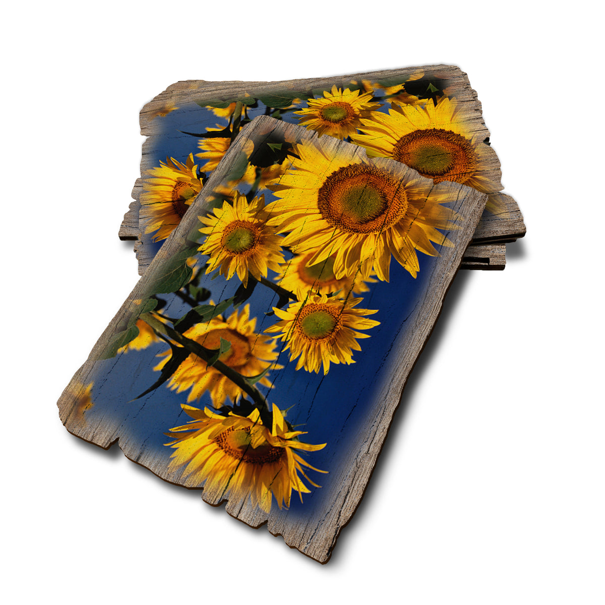 Sunny Bunch - Weathered Edge Weathered Edge Postcard (5pk // $2.80ea)