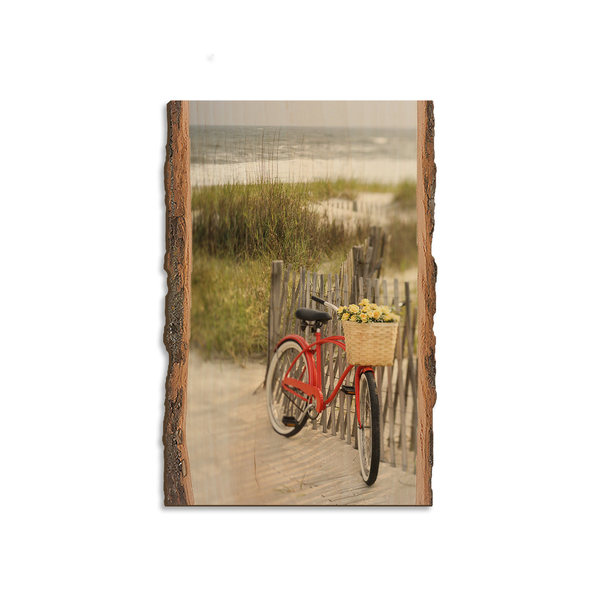Special Delivery - Live Edge Magnet Live Edge Magnet (5pk // $2.80ea)