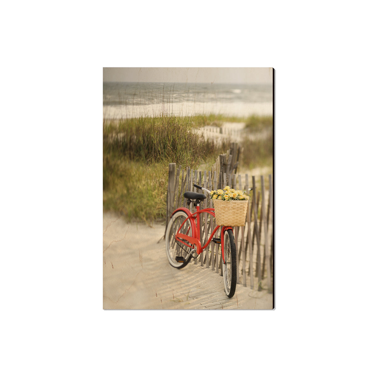 Special Delivery - Magnet Classic Edge Magnet (5pk // $2.80ea)