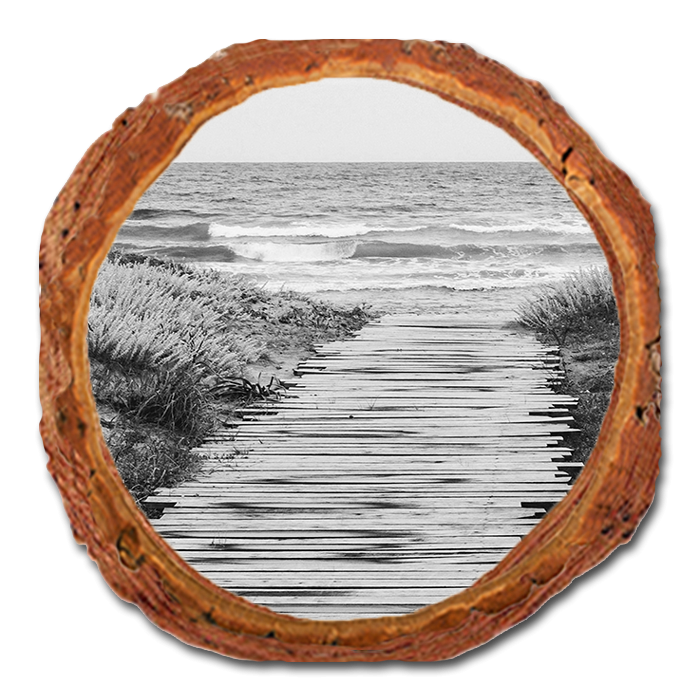 Coaster: Live Edge - Short Board (Pack of 5)