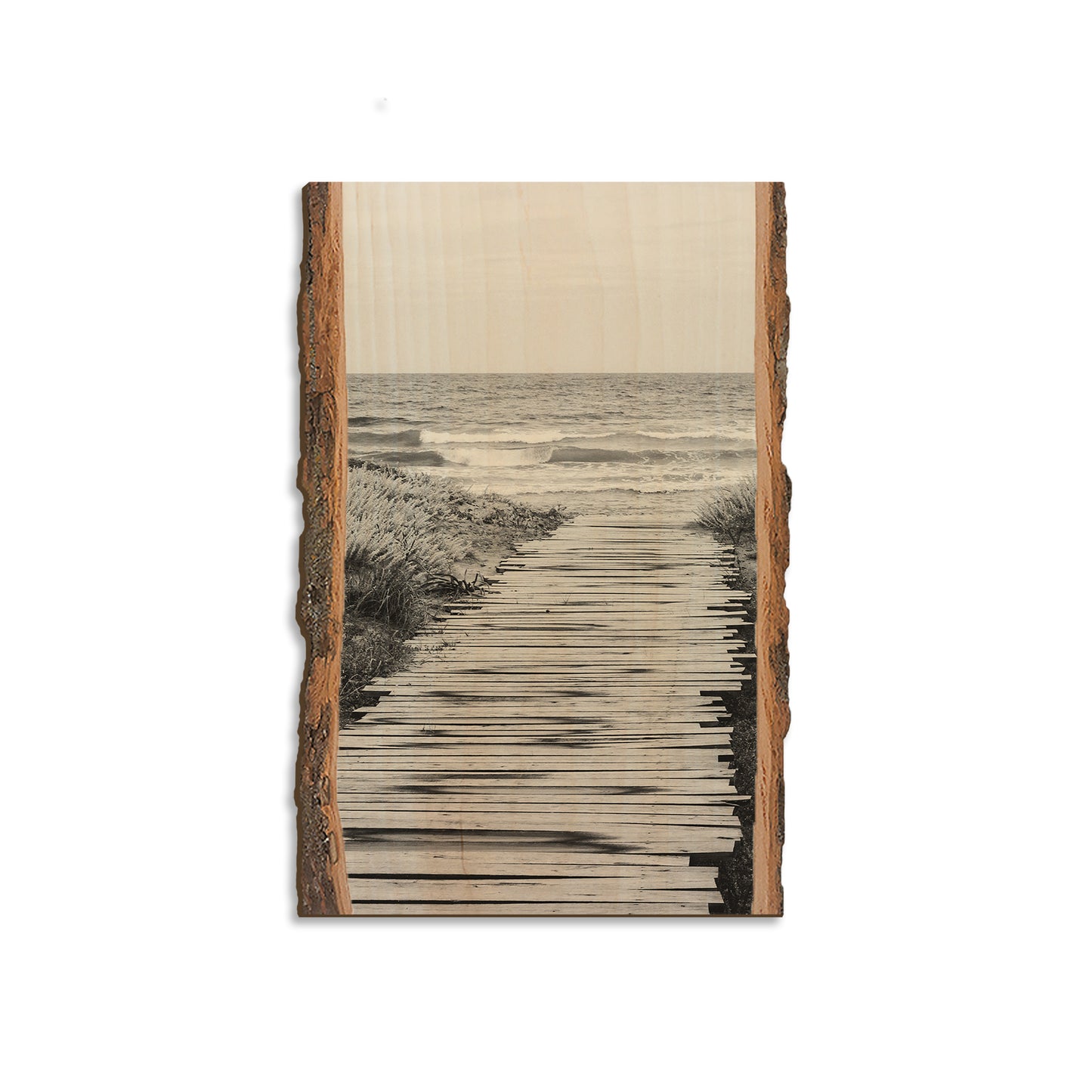 Short Board - Live Edge Magnet Live Edge Magnet (5pk // $2.80ea)