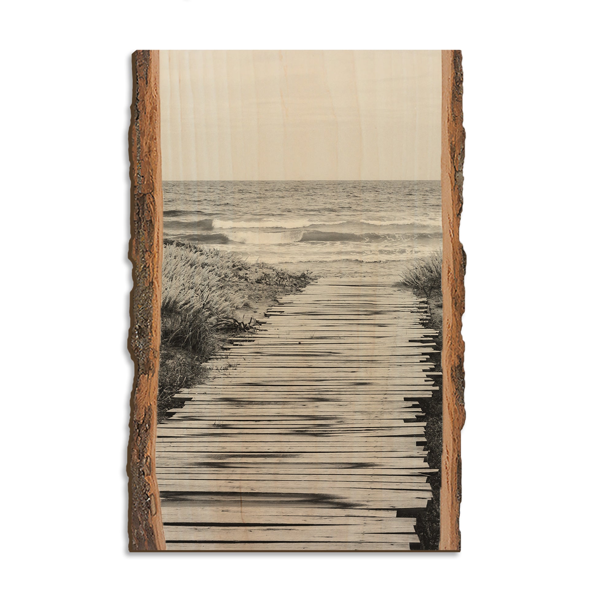 Short Board - Live Edge Magnet Live Edge Postcard (5pk // $2.80ea)