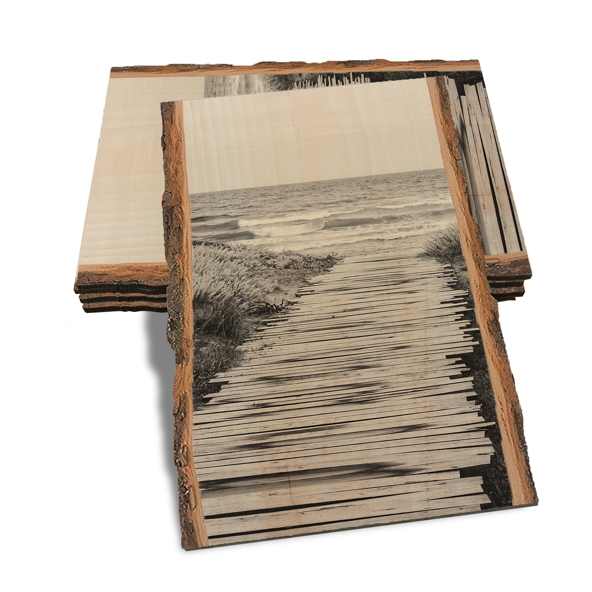 Short Board - Live Edge Live Edge Postcard (5pk // $2.80ea)
