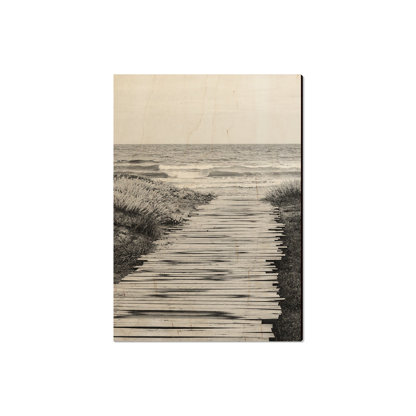 Short Board - Magnet Classic Edge Magnet (5pk // $2.80ea)