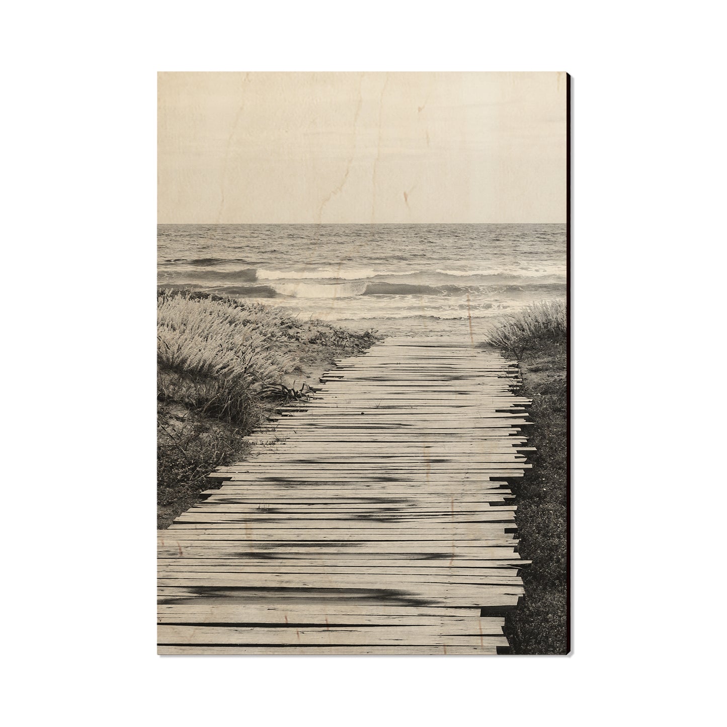 Short Board - Magnet Classic Edge Postcard (5pk // $2.80ea)