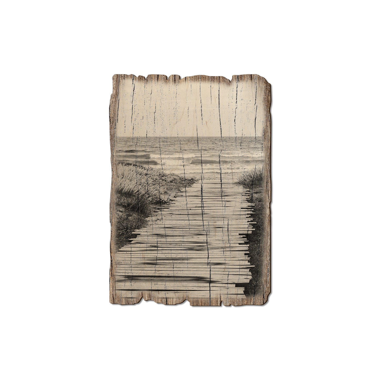 Short Board - Weathered Edge Magnet Weathered Edge Magnet (5pk // $2.80ea)