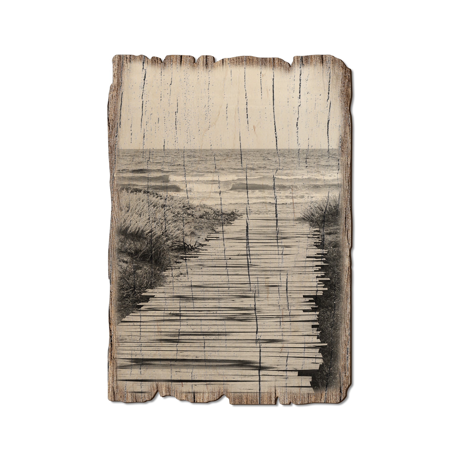 Short Board - Weathered Edge Magnet Weathered Edge Postcard (5pk // $2.80ea)
