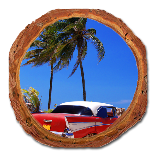 Coaster: Live Edge - Tropic57 Chevy (Pack of 5)