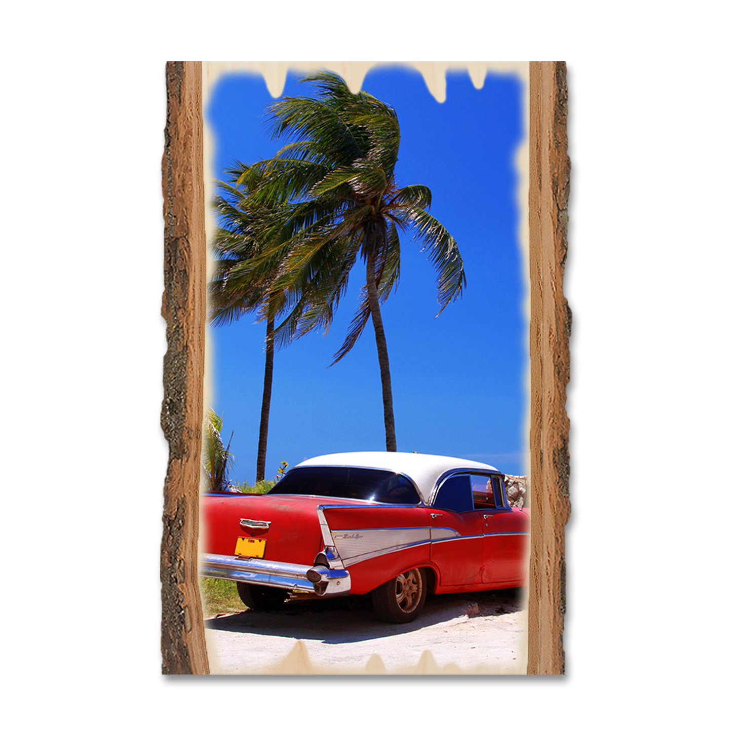 Magnet: Live Edge - Tropic57 Chevy